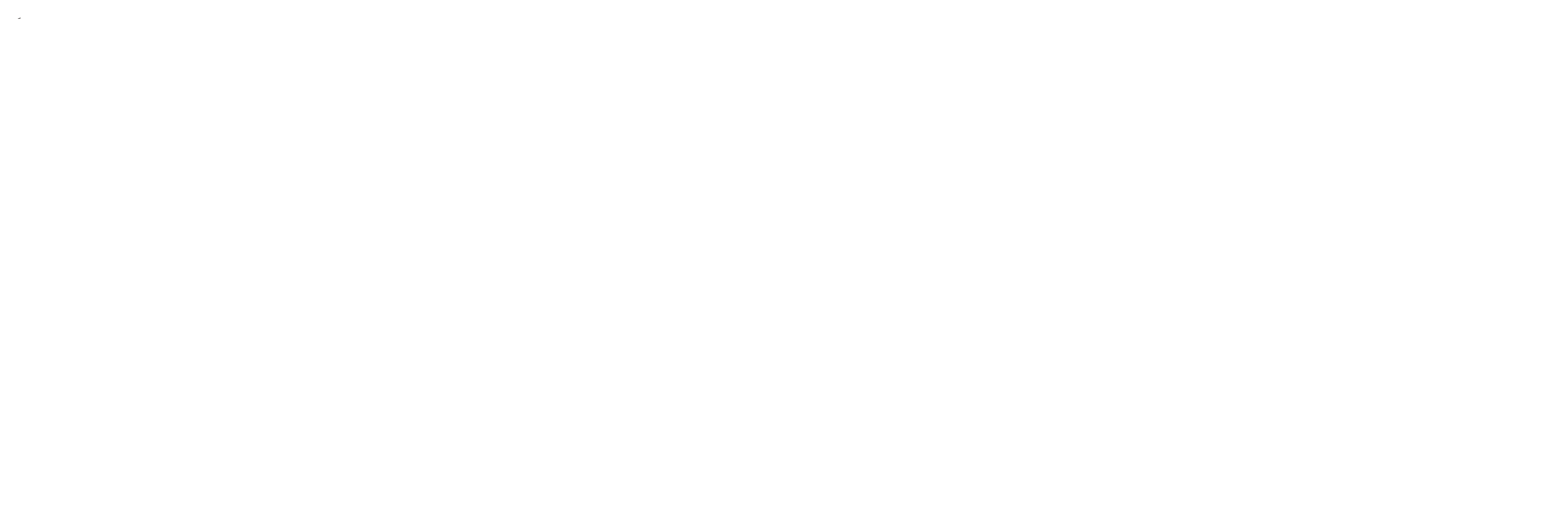 忍者貓 NINJA CAT